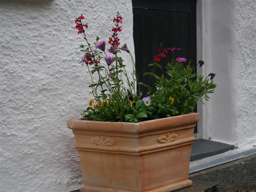 Granston Cottage Dış mekan fotoğraf
